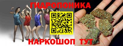 Альфа ПВП Севастополь