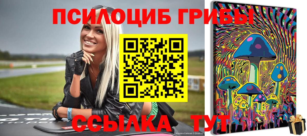 Галлюциногенные грибы мицелий  Псилоцибиновые грибы MAGIC MUSHROOMS  Вход с VPN  Ульяновск 